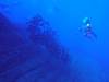 116 - Dive2-2 El Boiler