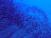 119 - Dive2-2 El Boiler