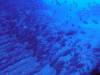 120 - Dive2-2 El Boiler