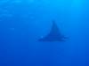 165 - Dive2-2 El Boiler