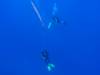 219 - Dive2-3 El Boiler