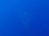 124 - Dive2-4 El Boiler