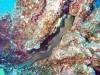 106 - Dive4-2 Punta Tosca