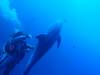 108 - Dive5-1 Cabo Pierce