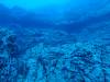 121 - Dive5-1 Cabo Pierce