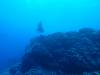 129 - Dive5-1 Cabo Pierce
