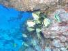 121 - Dive5-3 Cabo Pierce