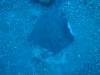 131 - Dive6-1 El Cannon