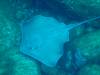 101 - Dive6-3 Las Cuevitas