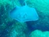 106 - Dive6-3 Las Cuevitas