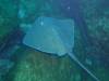 107 - Dive6-3 Las Cuevitas
