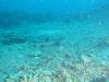 112 - Dive3-1 Delsan Wreck Point II