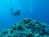 137 - Dive4-1 Black Rock Wall