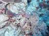 104 - Dive5-1 Shark Airport Wall
