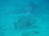 138 - DiveA-3 Masaplod North