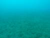 143 - DiveA-3 Masaplod North
