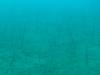 145 - DiveA-3 Masaplod North