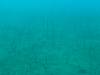 146 - DiveA-3 Masaplod North
