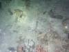 110 - DiveA-4N Atmosphere House Reef