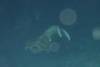 119 - DiveA-4N Atmosphere House Reef