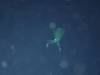 121 - DiveA-4N Atmosphere House Reef