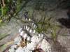 144 - DiveA-4N Atmosphere House Reef