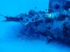 Dive2-1 Corsair-113 Dive2-1 Corsair