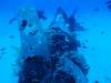 Dive2-1 Corsair-119 Dive2-1 Corsair