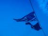 104 - Dive2-1 Corsair
