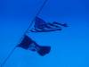 106 - Dive2-1 Corsair