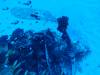 117 - Dive2-1 Corsair