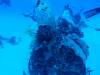 120 - Dive2-1 Corsair