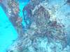 122 - Dive2-1 Corsair