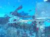 124 - Dive2-1 Corsair