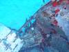 141 - Dive2-1 Corsair