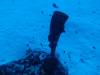 148 - Dive2-1 Corsair