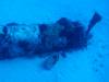 151 - Dive2-1 Corsair