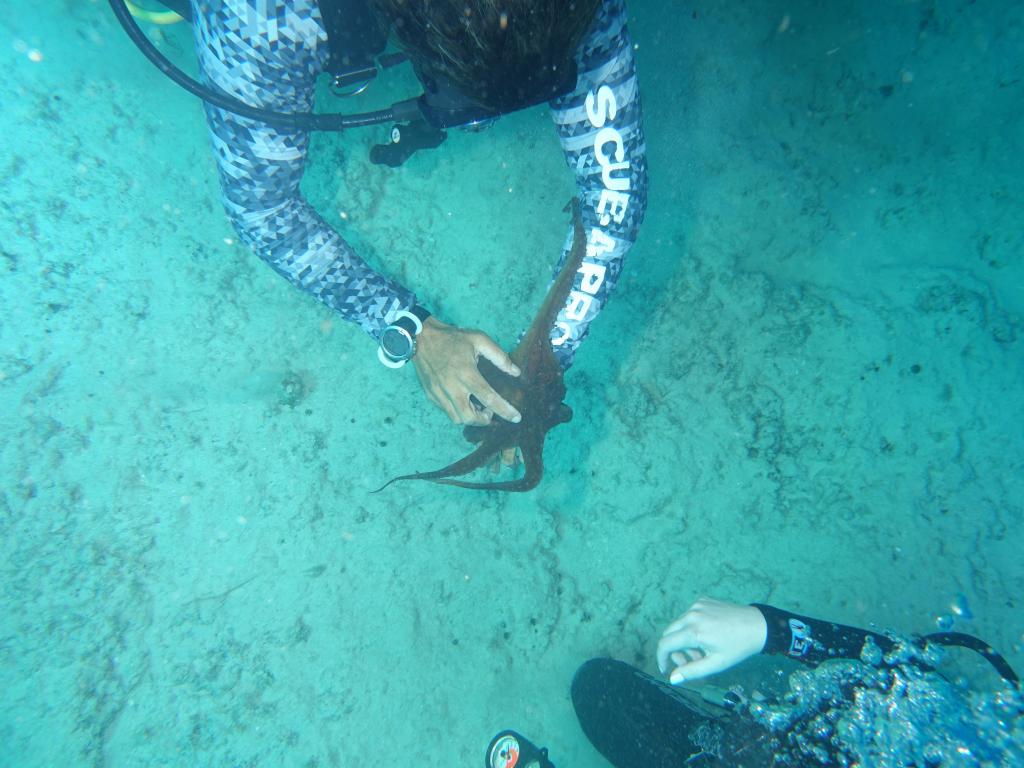 114 - Dive2-2 Anglers Reef