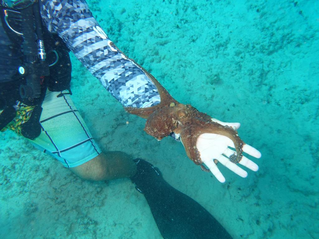 116 - Dive2-2 Anglers Reef