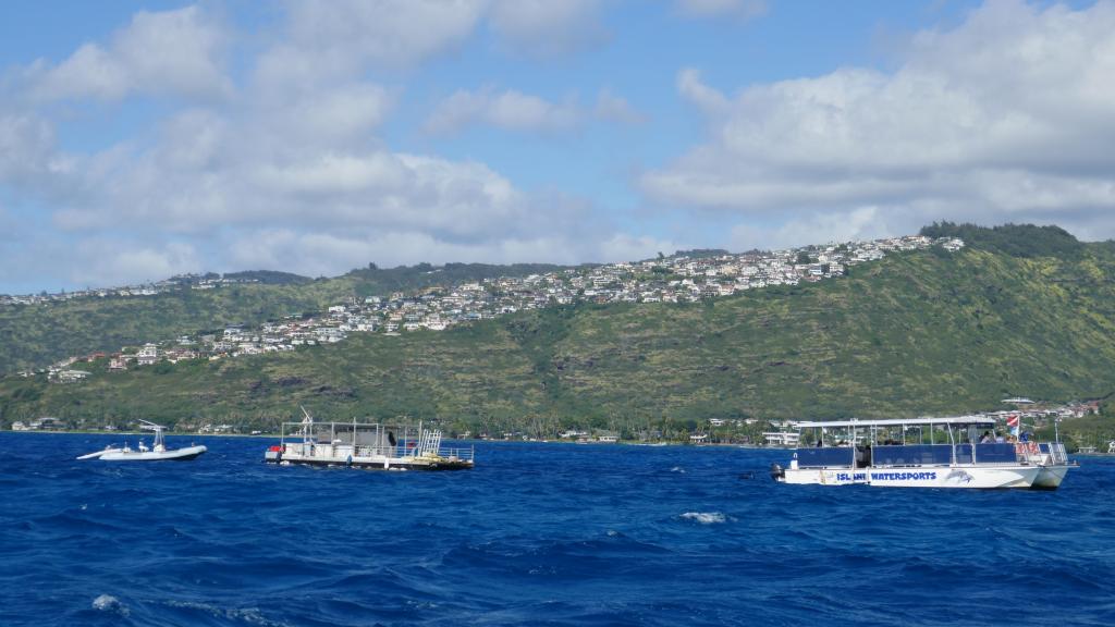 100 - Dive2-3 Koko Crater