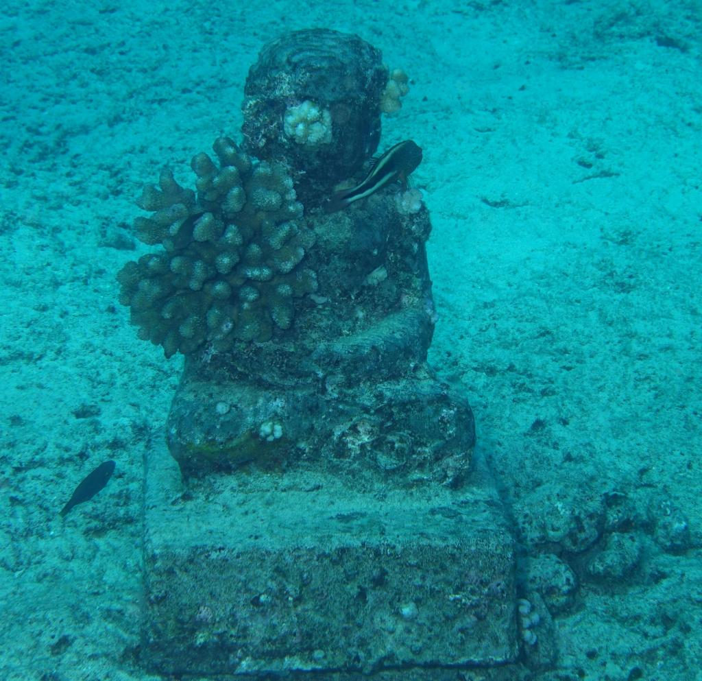 137 - Dive2-3 Koko Crater