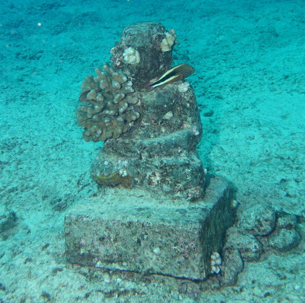 138 - Dive2-3 Koko Crater