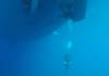Dive5-2 Rio de Janeiro-215 Dive5-2 Rio de Janeiro
