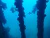 Dive5-3 Rio de Janeiro-114 Dive5-3 Rio de Janeiro