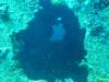 Dive5-3 Rio de Janeiro-129 Dive5-3 Rio de Janeiro