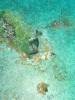 150 - Dive4-2 Betty Bomber