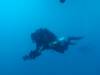 151 - Dive4-2 Betty Bomber