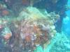251 - Dive4-3 Fujikawa Maru