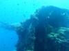 252 - Dive4-3 Fujikawa Maru