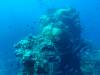 255 - Dive4-3 Fujikawa Maru
